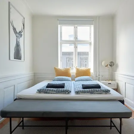 Spacious Danish Design Downtown *